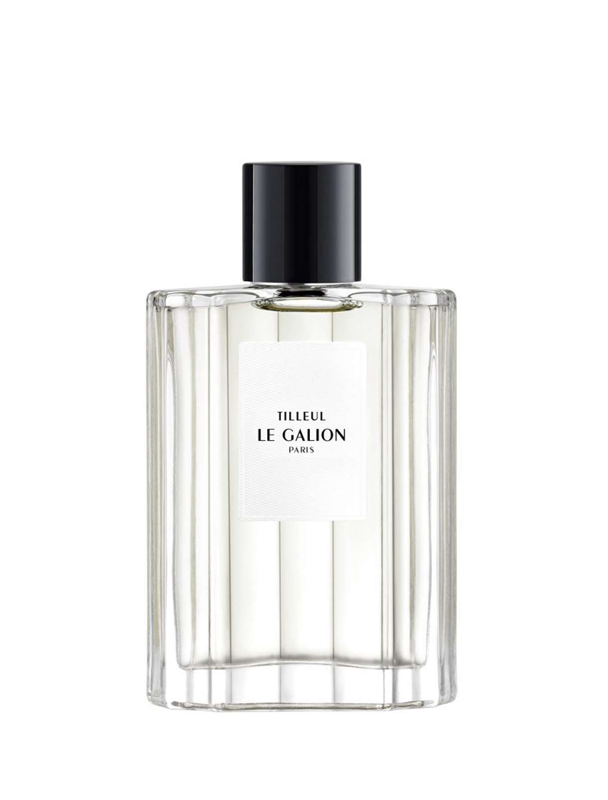 Le Galion Tilleul