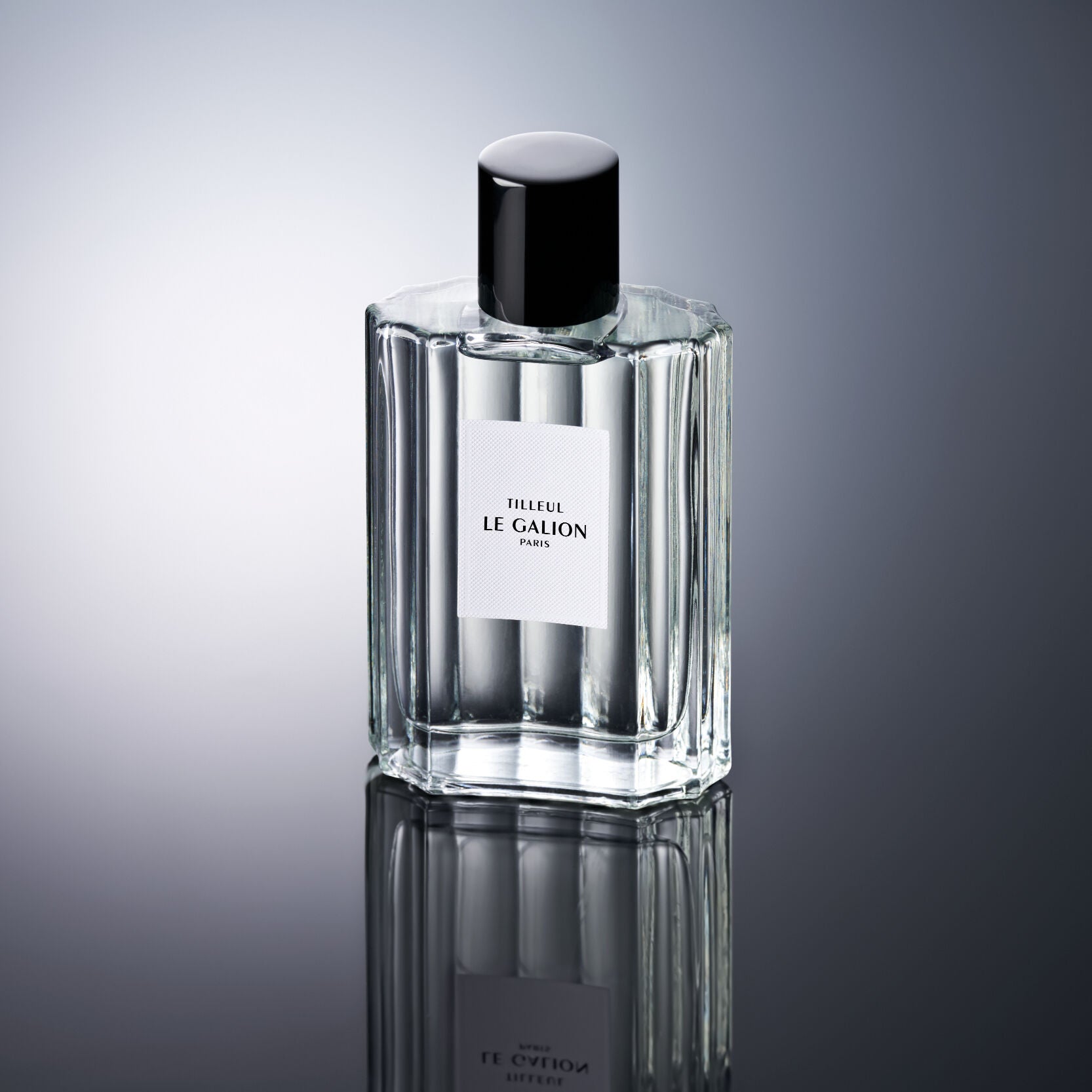 Le Galion Tilleul