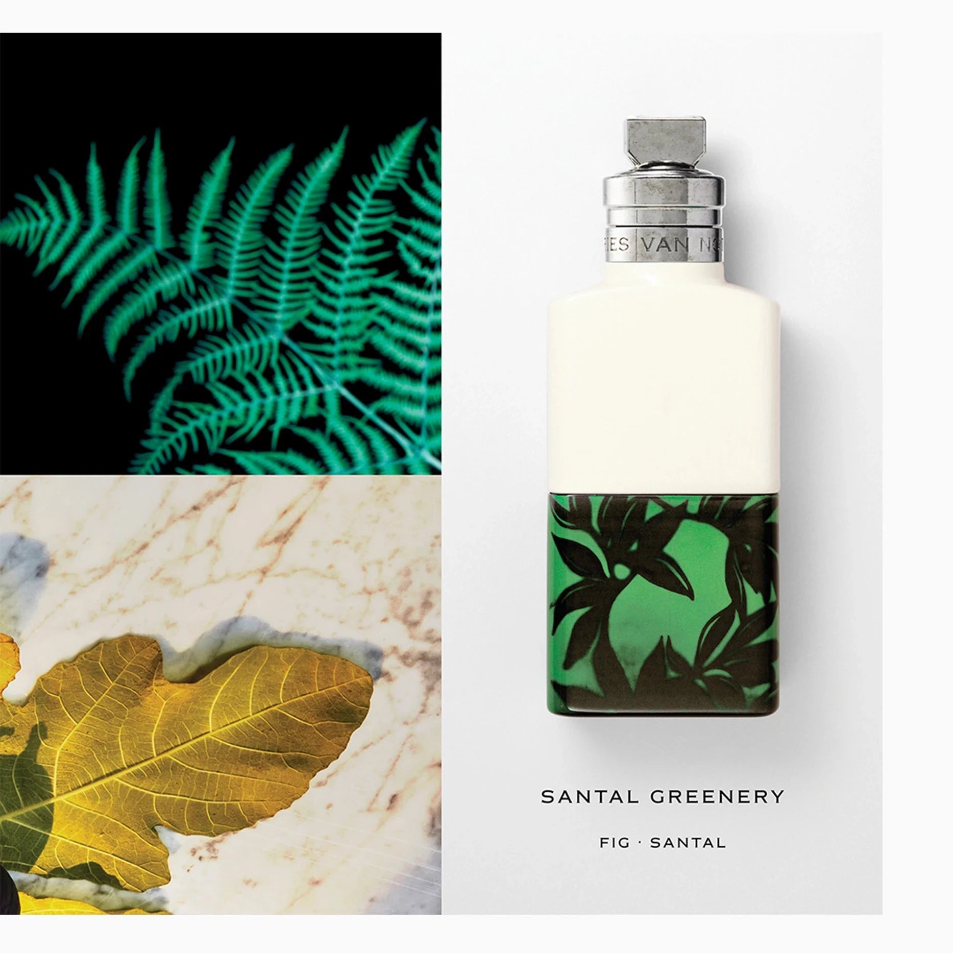 Dries Van Noten Santal Greenery