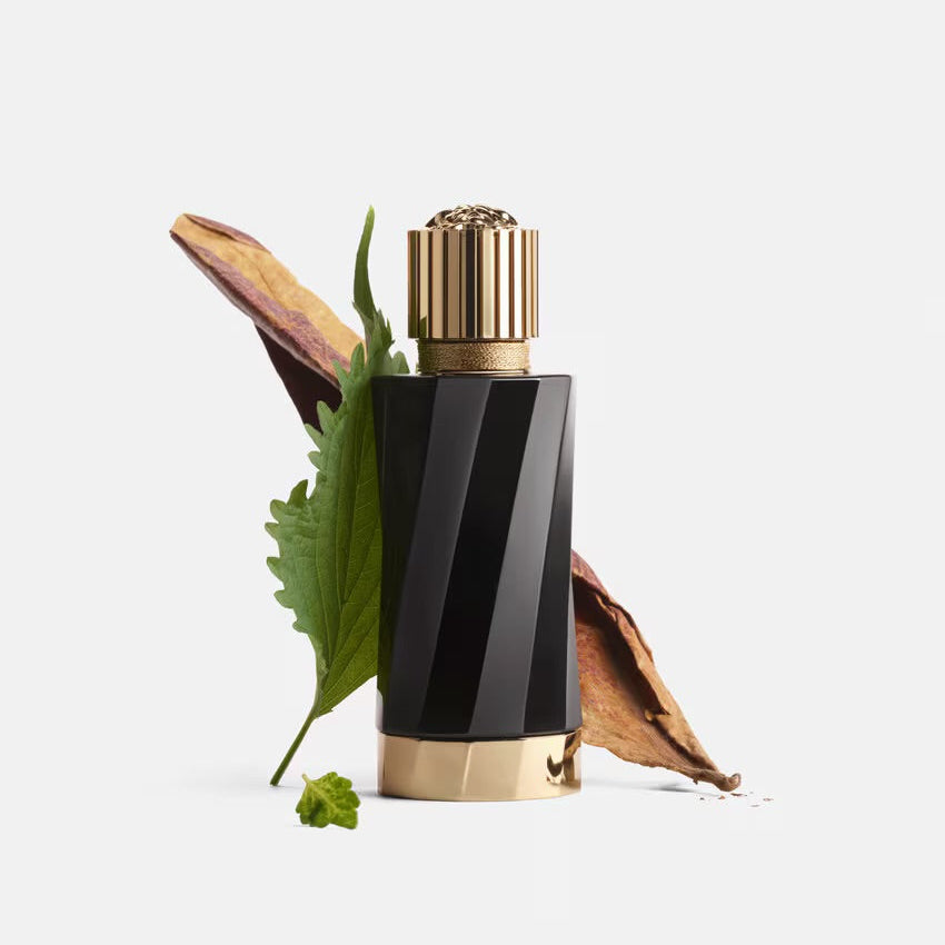 Versace Tabac Imperial