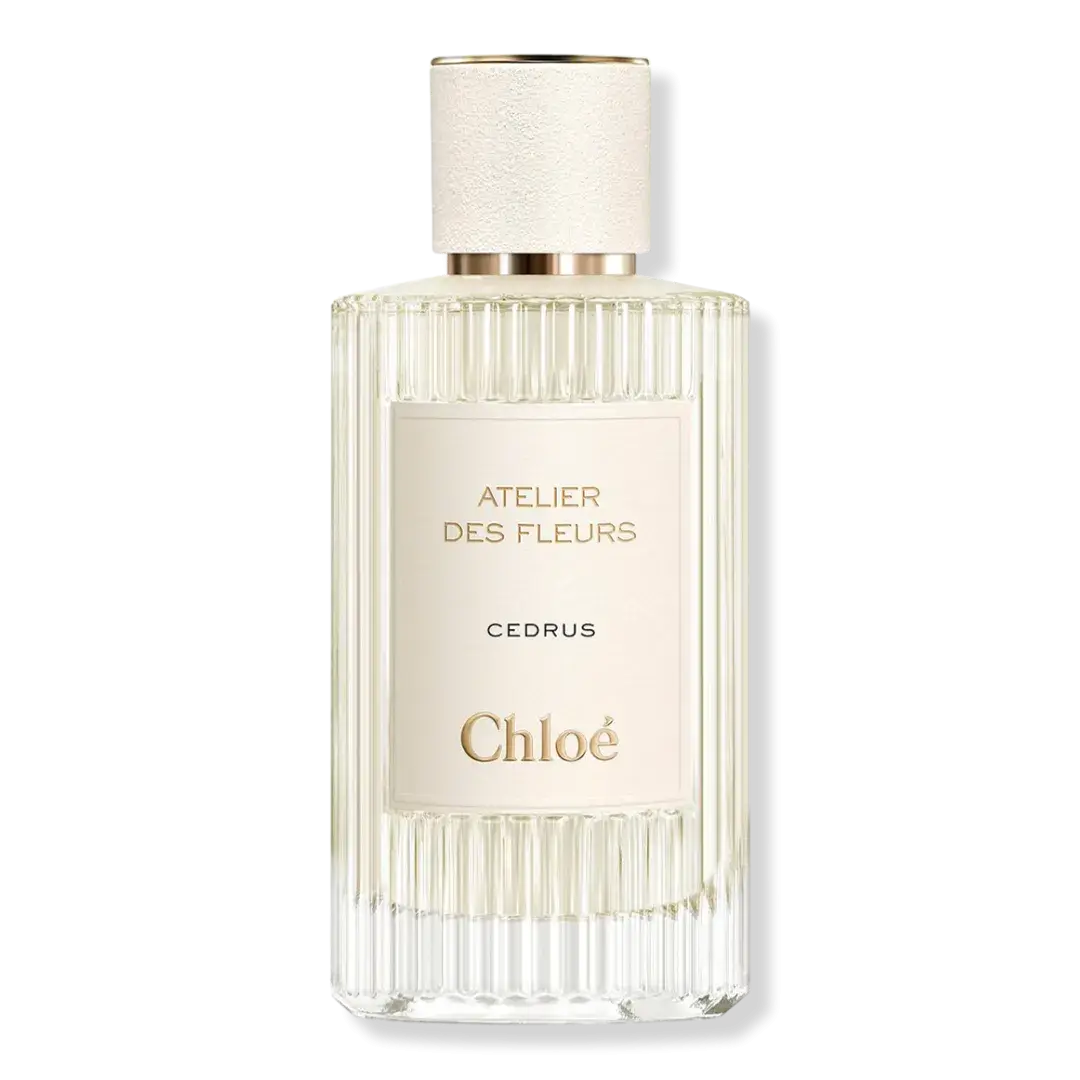 Chloe Atelier des Fleurs Cedrus