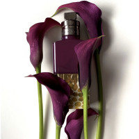 Dries Van Noten VELVET VIOLET тревел
