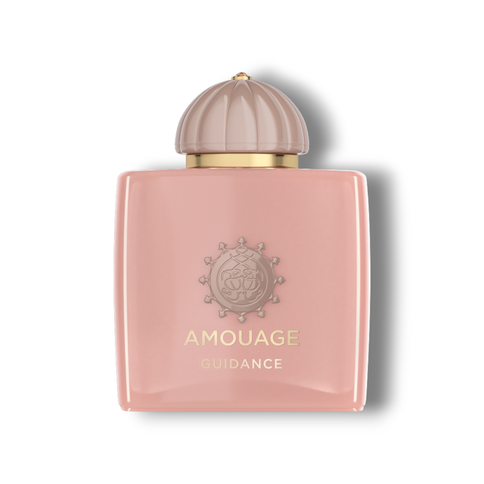 amouage-guidance.png