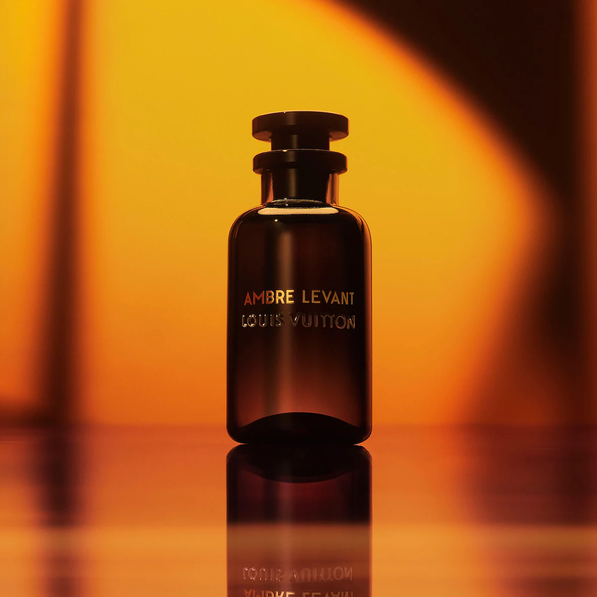 Louis Vuitton AMBRE LEVANT тревел